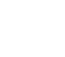 شحنتك